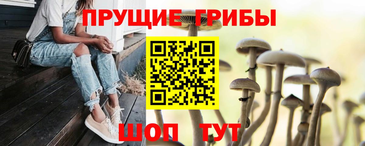 Воткинск  Галлюциногенные грибы прущие грибы  Вход с VPN 
